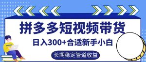拼多多短视频带货日入300+，实操账户展示看就能学会-资源站