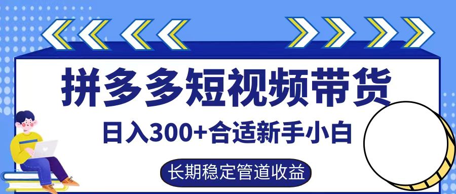 拼多多短视频带货日入300+，实操账户展示看就能学会-资源站