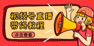 视频号直播带货教程:选品思路与话术拆解/掌握多种带货套路/提升直播效果-资源站