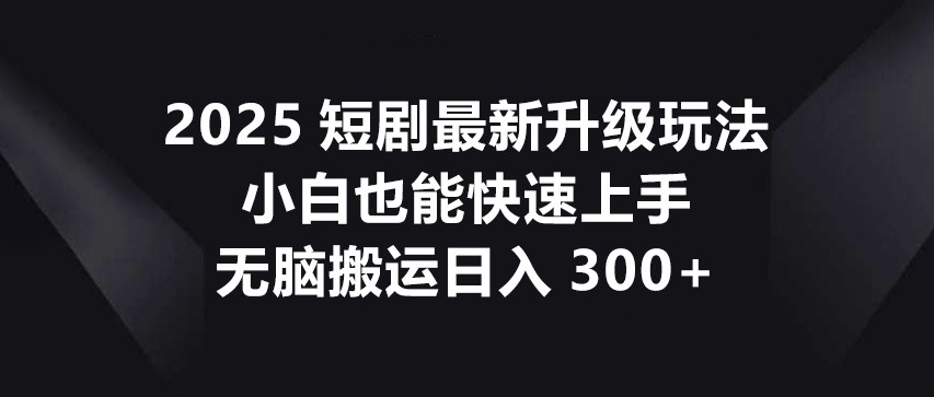 2025短剧最新升级玩法，小白也能快速上手，无脑搬运日入300+-资源站