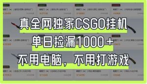 真全网独家CSGO挂机，单日捡漏1000+，不用电脑，不用养号-资源站