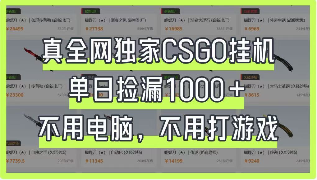 真全网独家CSGO挂机，单日捡漏1000+，不用电脑，不用养号-资源站