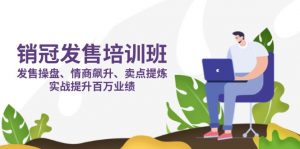 销冠 发售培训班:发售 操盘+情商 飙升+卖点 提炼,实战提升百万业绩-资源站