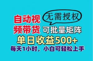 自动视频带货，可批量矩阵，单日收益500+、轻松实现睡后收益，小白可…-资源站