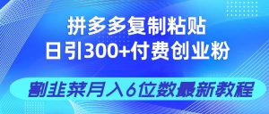 拼多多复制粘贴日引300+付费创业粉，割韭菜月入6位数最新教程！-资源站