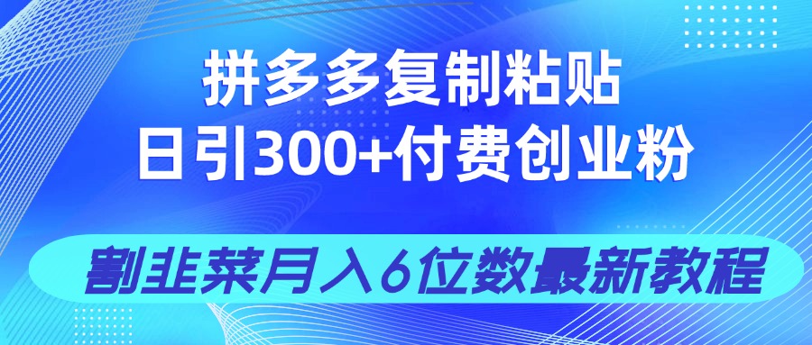 拼多多复制粘贴日引300+付费创业粉，割韭菜月入6位数最新教程！-资源站