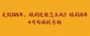 走到2025年，短剧还能怎么玩？短剧25年4月份搞钱方向-资源站