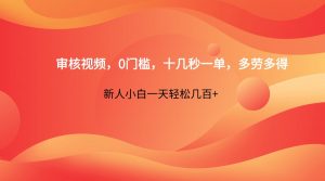 审核视频,0门槛,十几秒一单,多劳多得,新人小白一天轻松几百+-资源站