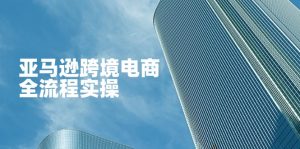 亚马逊跨境电商全流程实操，教你从零开始，掌握店铺运营与广告技巧-资源站