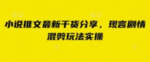 小说推文最新干货分享，现言剧情混剪玩法实操-资源站