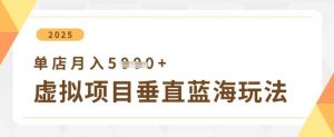 虚拟项目垂直玩法，实现单店月入5k+-资源站