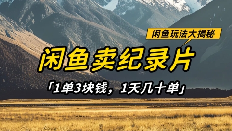 闲鱼卖纪录片1单3块钱，1天几十单，项目稳定有潜力-资源站