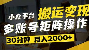 得物平台变现新蓝海！无脑复制热门视频，多账号同步运营，每天半小时躺…-资源站
