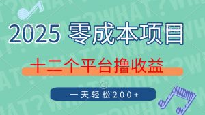 2025年零成本项目，十二个平台撸收益，单号一天轻松200+-资源站