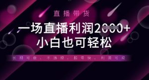 半无人直播带货，一场利润数张，适合所有平台玩法，小白也可轻松-资源站