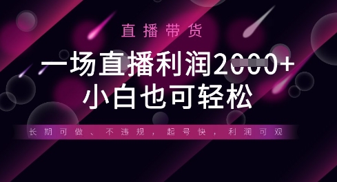 半无人直播带货，一场利润数张，适合所有平台玩法，小白也可轻松-资源站