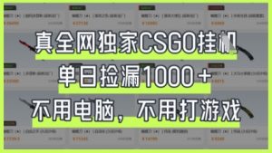 真全网独家CSGO挂G，单日捡漏1k+【揭秘】-资源站