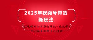 2025年视频号带货新玩法：AI炮制百分百原创爆款，稳起号，T+1结算实现月入过万-资源站