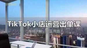 TikTok小店运营出单课，从开店选品、运营出单、发货回款，进行全流程讲解-资源站