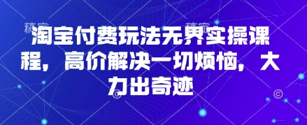 淘宝付费玩法无界实操课程，高价解决一切烦恼，大力出奇迹-资源站