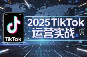2025TikTok电商运营,掌握TikTok店铺运营核心技巧,实现低成本高转化-资源站