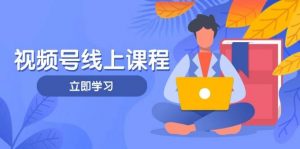 视频号实战课程,轻IP打造与运营技巧,掌握核心方法与策略-资源站
