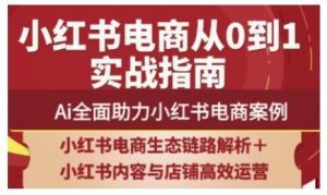 2025小红书电商全链路运营,Ai全面助力小红书电商案例-资源站