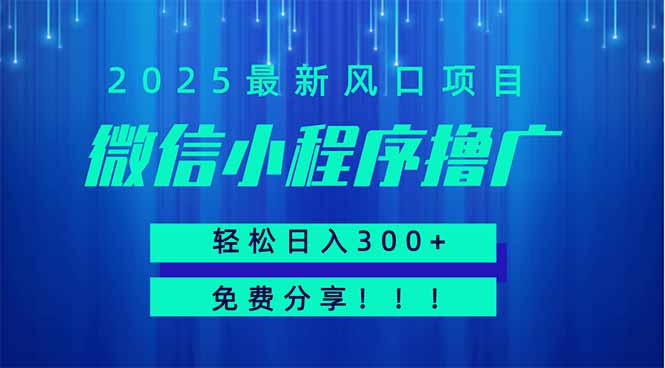 微信小程序撸广，最新风口项目，日入300+ 免费分享 可批量操作 小白可…-资源站