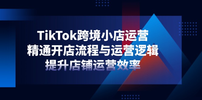 TikTok跨境小店运营,精通开店流程与运营逻辑,提升店铺运营效率-资源站