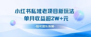 小红书私域项目新玩法，单月变现过W+-资源站