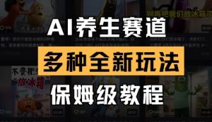 AI养生赛道，多种全新玩法，保姆级教程拆解-资源站
