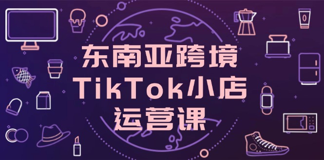 东南亚跨境TikTok小店运营课，掌握店铺设置与流量转化核心技巧-资源站