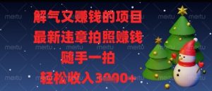 解气又挣钱的项目，最新违章拍照挣钱，随手一拍，轻松收入多张【揭秘】-资源站