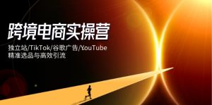 跨境电商实操营:独立站/TikTok/谷歌广告/YouTube,精准选品与高效引流-资源站