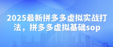 2025最新拼多多虚拟实战打法，拼多多虚拟基础sop-资源站