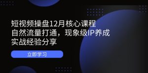 短视频操盘12月核心课程:自然流量打通,现象级IP养成,实战经验分享-资源站