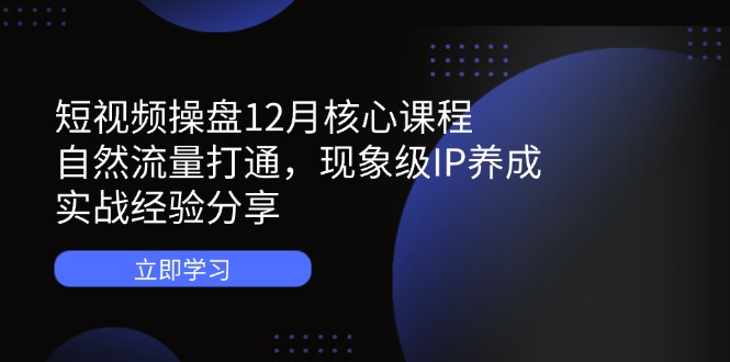 短视频操盘12月核心课程:自然流量打通,现象级IP养成,实战经验分享-资源站