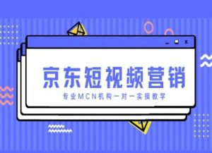 京东短视频营销项目，专业MCN机构一对一实操教学-资源站