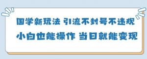 国学新玩法，引流不封号不违规小白也能操作，当日就能变现-资源站