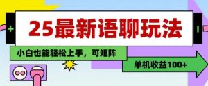 25年最新语聊玩法，纯手工，单机收益100+，小白也能轻松上手，可矩阵操作-资源站