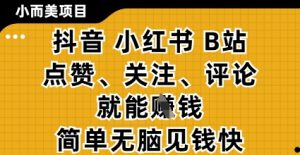 小而美的项目,抖音小红书B站视频点赞、关注、评论就能挣钱,简单无脑立见收益,妥妥的零撸项目【揭秘】-资源站