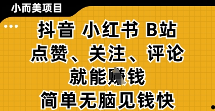 小而美的项目,抖音小红书B站视频点赞、关注、评论就能挣钱,简单无脑立见收益,妥妥的零撸项目【揭秘】-资源站