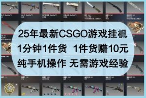 25年最新CSGO游戏挂G，1分钟1件货，1件货挣10元，纯手机操作，无需游戏经验【揭秘】-资源站