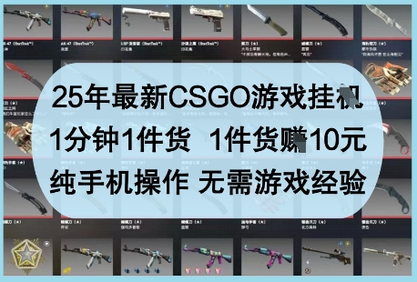 25年最新CSGO游戏挂G，1分钟1件货，1件货挣10元，纯手机操作，无需游戏经验【揭秘】-资源站