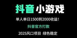 抖音官方小游戏2025全网最新玩法，暴利赚钱项目，单机日入2000+-资源站