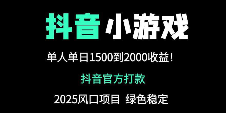 抖音官方小游戏2025全网最新玩法，暴利赚钱项目，单机日入2000+-资源站