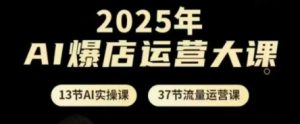 2025年AI爆店运营大课,13节AI实操课+37节流量运营课-资源站