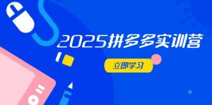 2025拼多多实训营:深度剖析运营关键,助力电商人快速提升-资源站
