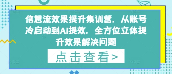 信息流效果提升集训营,从账号冷启动到AI提效,全方位立体提升效果解决问题-资源站