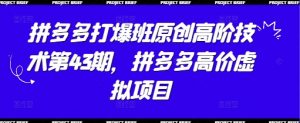 拼多多打爆班原创高阶技术第43期,拼多多高价虚拟项目-资源站